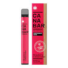 CANA Bar, 500mg CBD By Vitality CBD Strawberry + Watermelon CBD Disposable